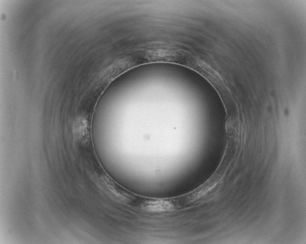 X0000087520087200705041223