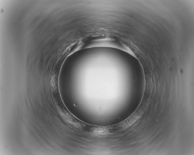 X0000087520088200705041223