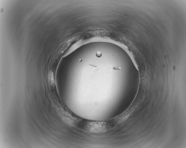 X0000087520089200705041223