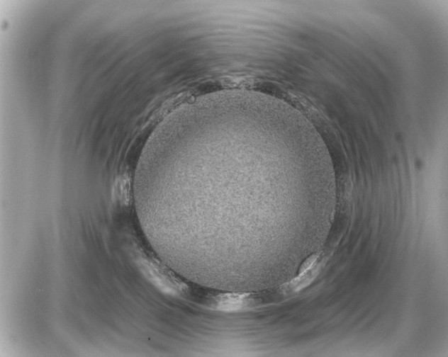 X0000087520090200705041223