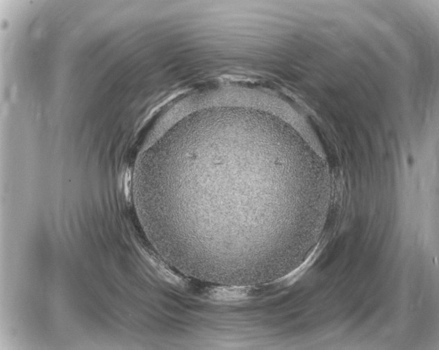 X0000087520094200705041223