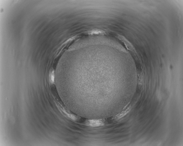 X0000087520095200705041223