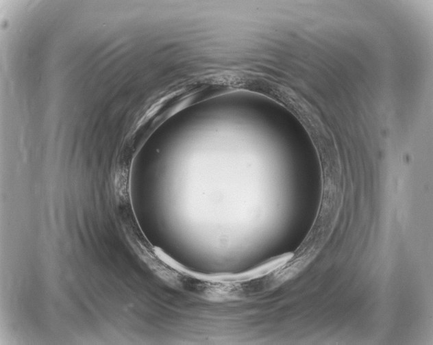 X0000087520096200705041223