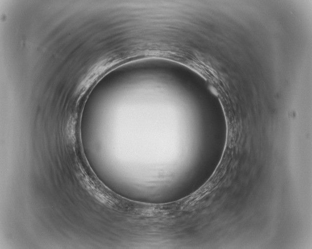 X0000087520098200705041223