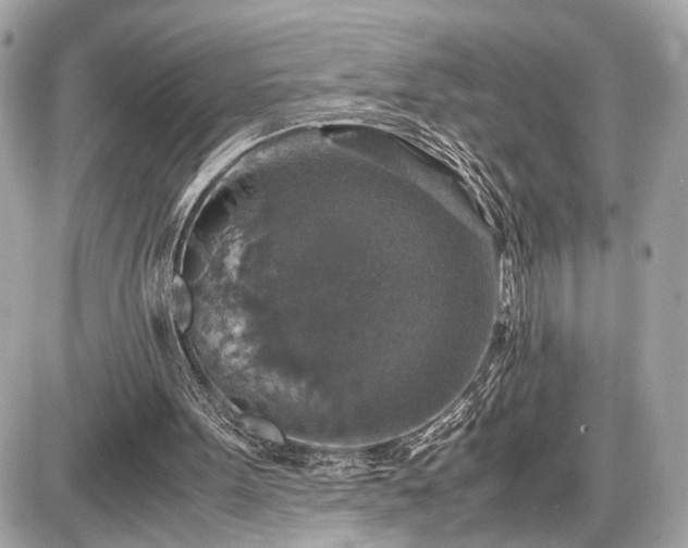 X0000087520099200705041222