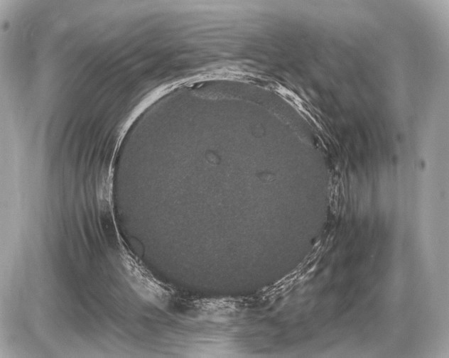 X0000087520100200705041222