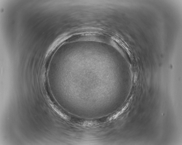 X0000087520101200705041222