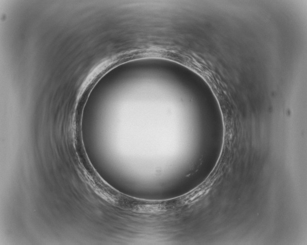 X0000087520102200705041222