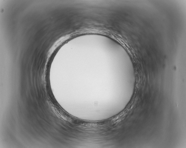 X0000087520104200705041222