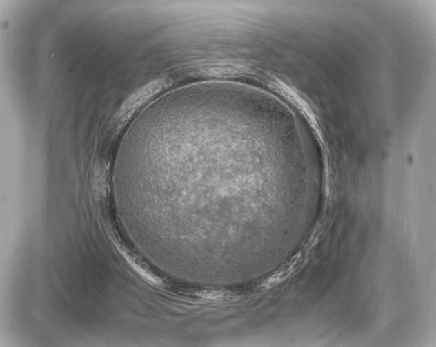 X0000087520105200705041222