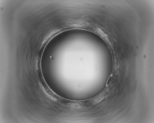 X0000087520106200705041222