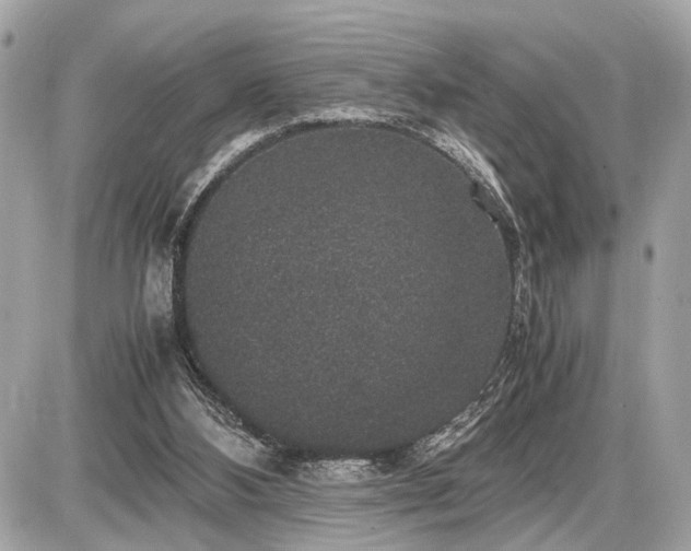 X0000087520108200705041222