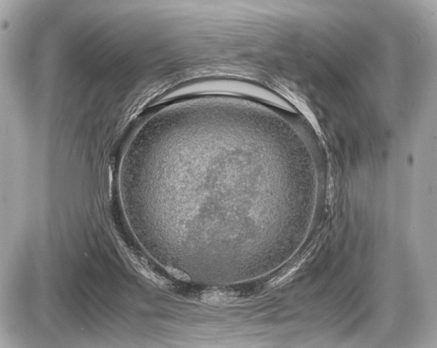 X0000087520109200705041222