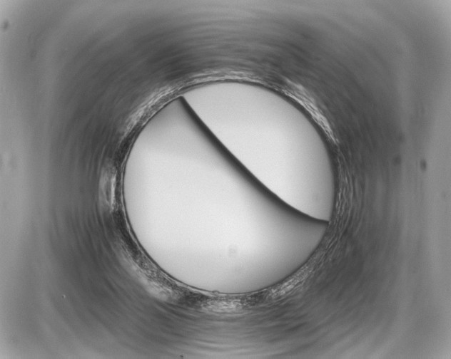 X0000087520110200705041222