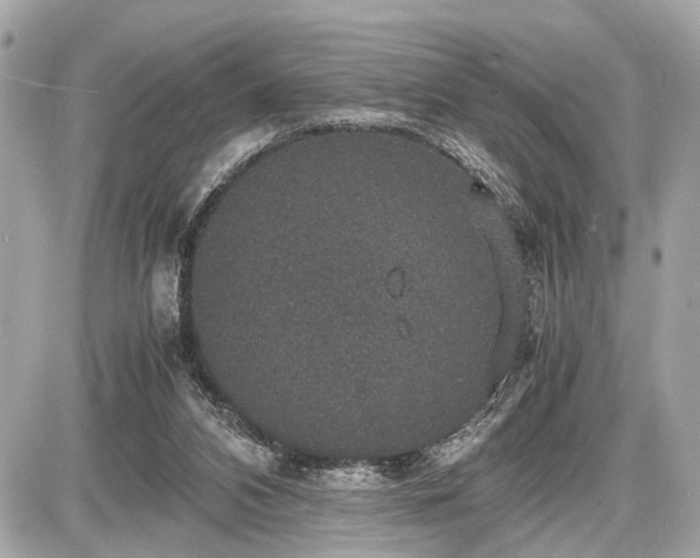 X0000087520112200705041222