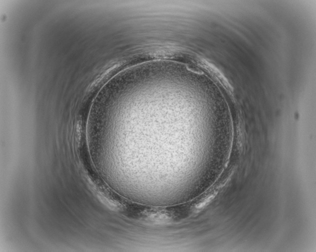 X0000087520113200705041222