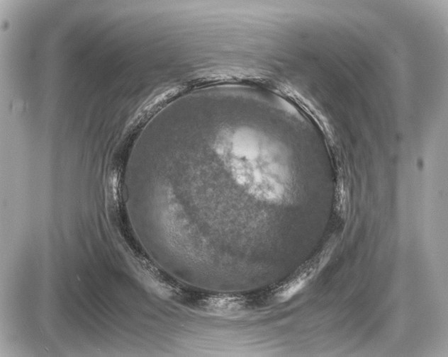 X0000087520117200705041222