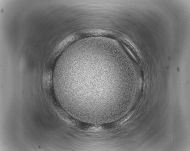 X0000087520119200705041222