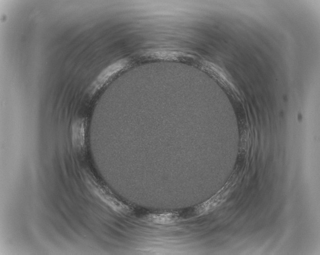 X0000087520120200705041222