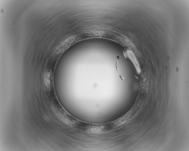 X0000087520122200705041222