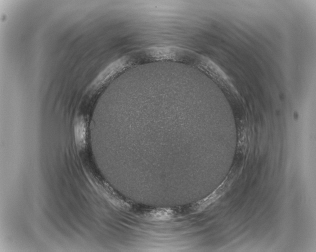 X0000087520124200705041222