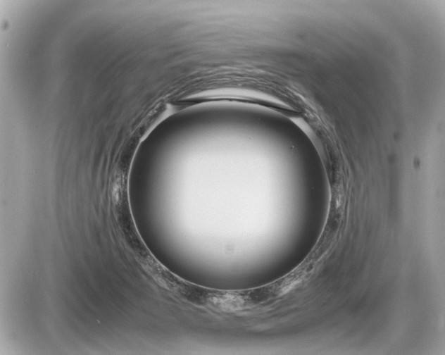 X0000087520125200705041222