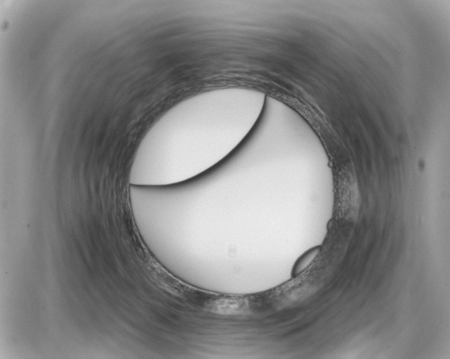 X0000087520126200705041222