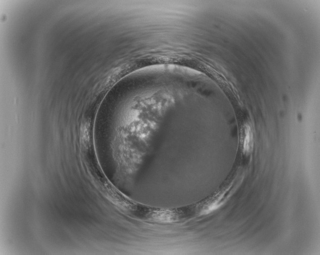 X0000087520127200705041222