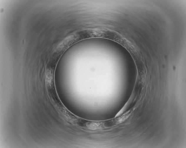 X0000087520129200705041222