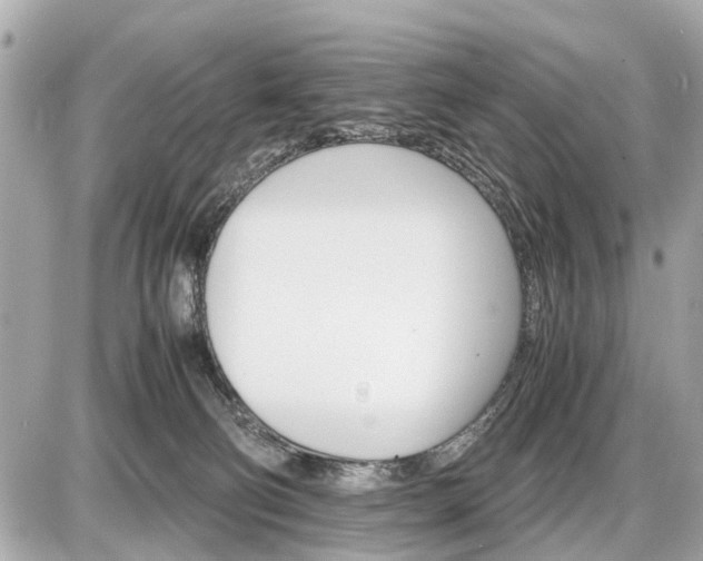 X0000087520130200705041222