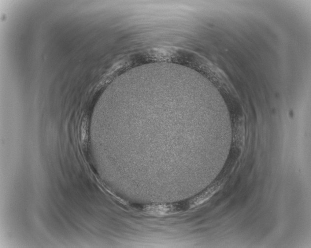 X0000087520131200705041222