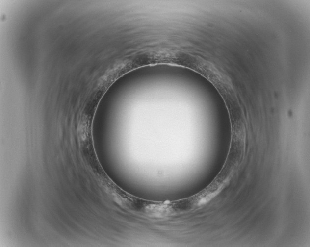 X0000087520133200705041222