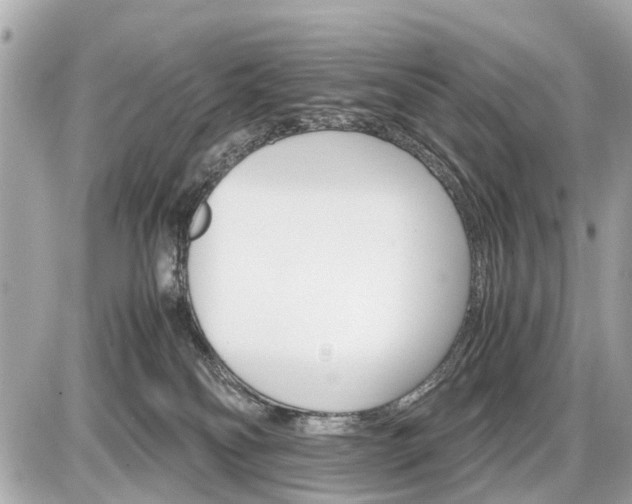 X0000087520134200705041222