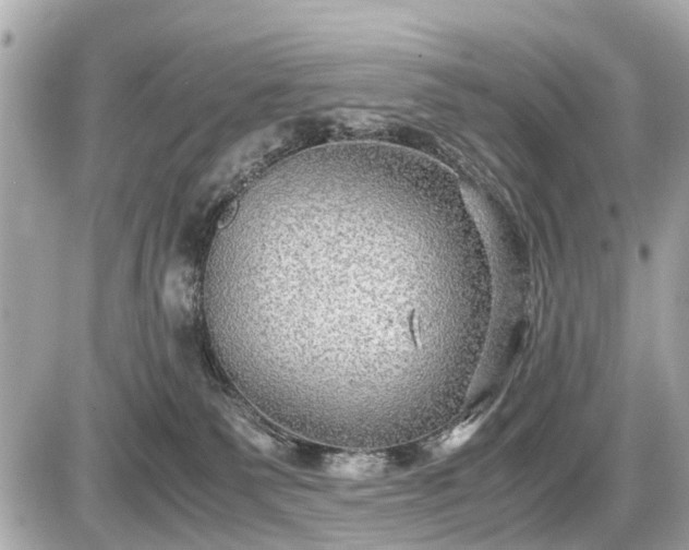 X0000087520135200705041222