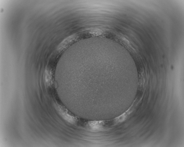 X0000087520136200705041222