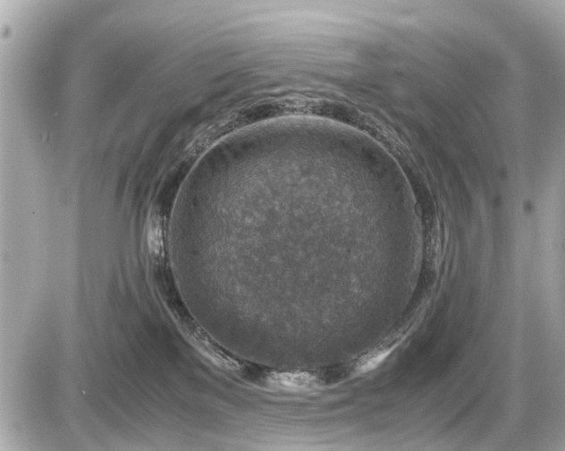 X0000087520137200705041222