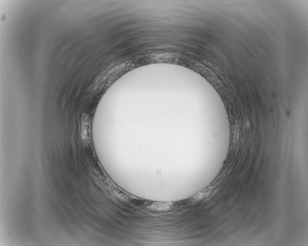 X0000087520138200705041222