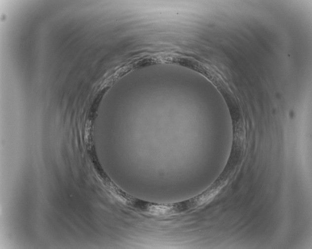 X0000087520139200705041222