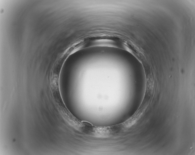 X0000087520141200705041222