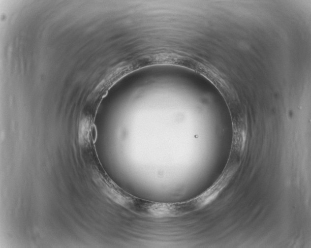 X0000087520142200705041222