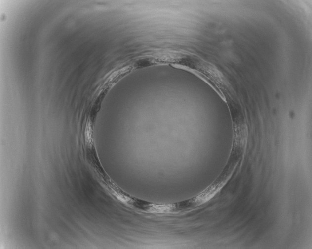 X0000087520143200705041222