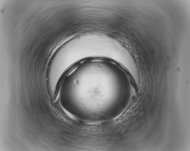 X0000087520146200705041221