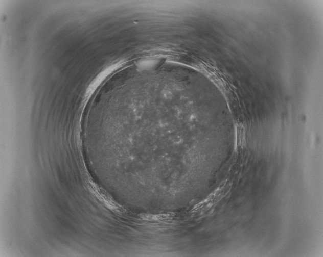 X0000087520147200705041221