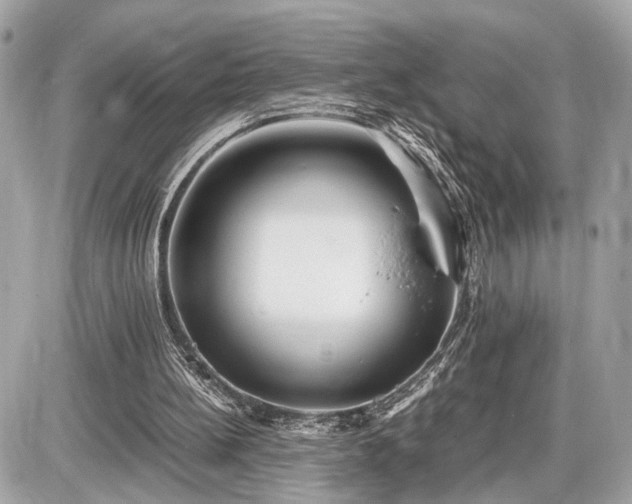 X0000087520148200705041221