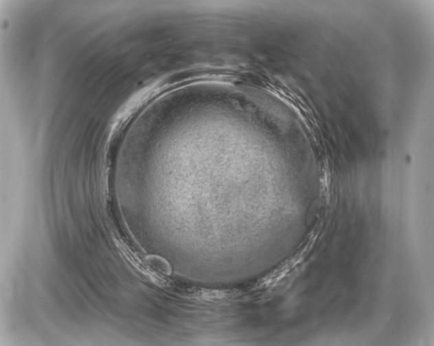 X0000087520149200705041221