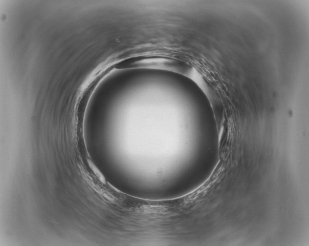 X0000087520150200705041221