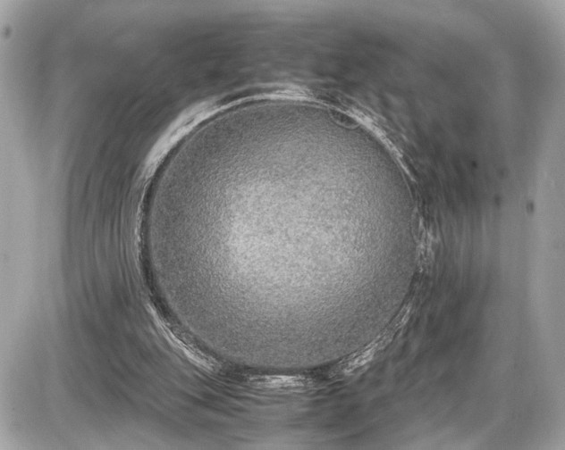 X0000087520151200705041221