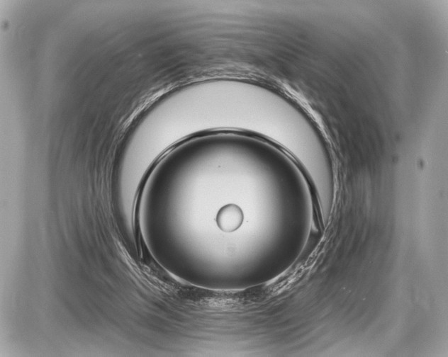 X0000087520154200705041221