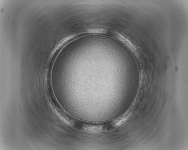 X0000087520155200705041221