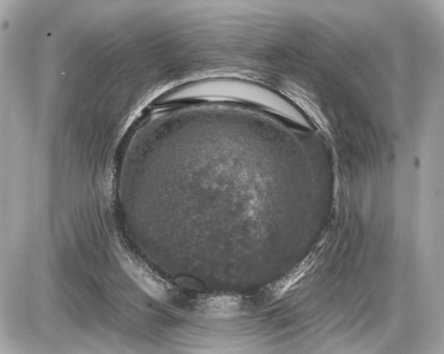 X0000087520156200705041221